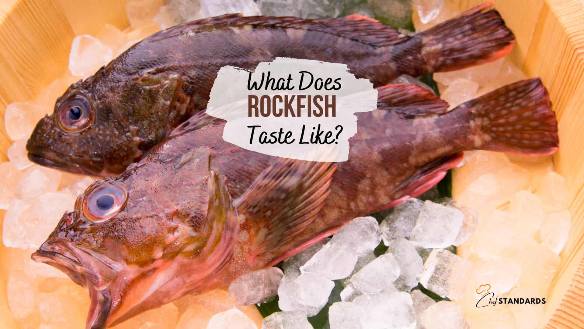 a qué sabe el pescado de roca