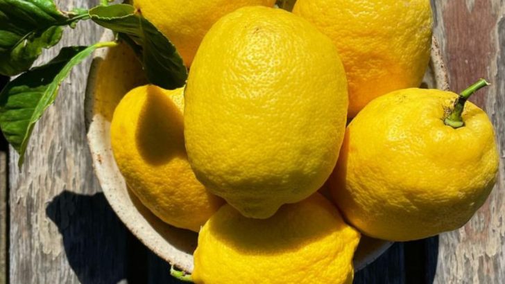 20 Health Benefits Of Lemons