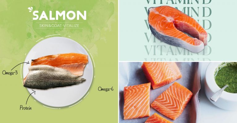 Salmon Skin