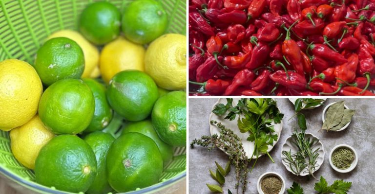 35 Cooking Tricks To Make Cheap Food Incredible