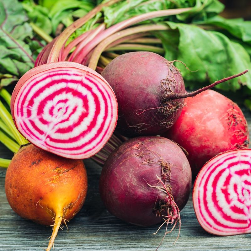 Boosting Immune System