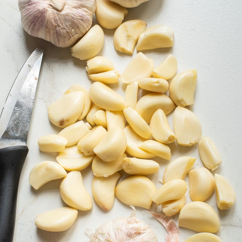 Garlic