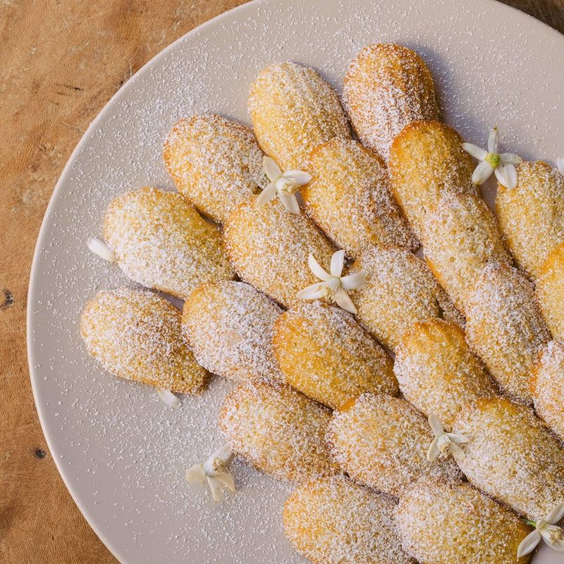 Orange Blossom Honey Madeleines