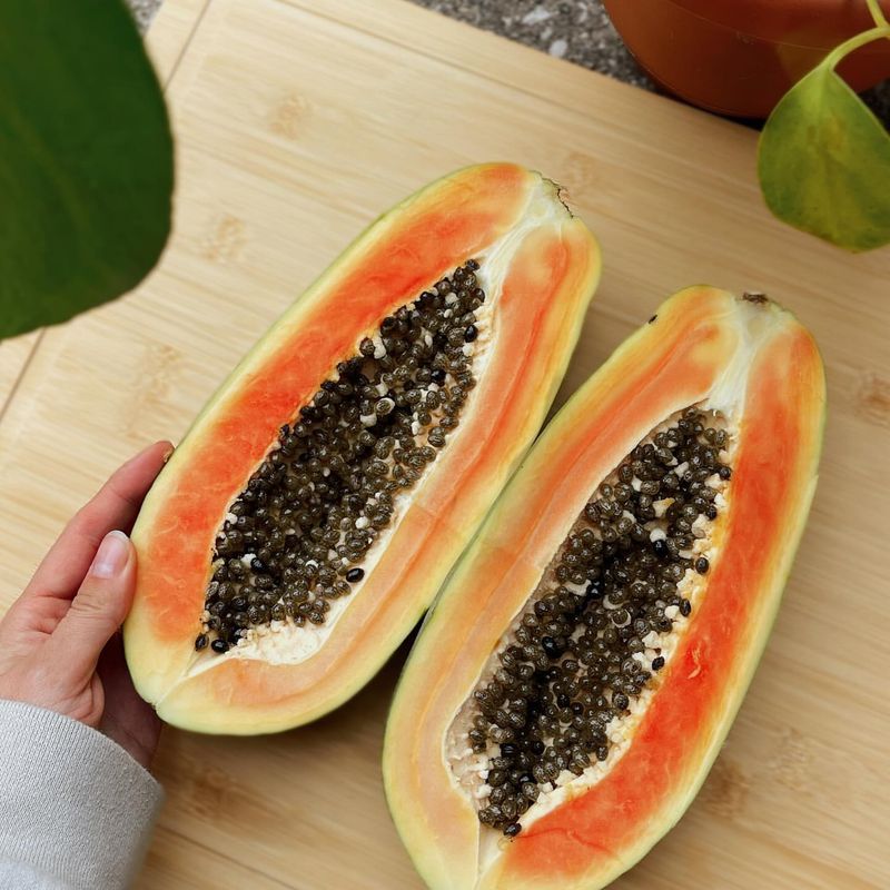Papaya