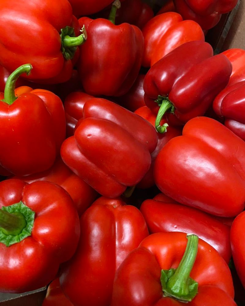 Red Bell Peppers