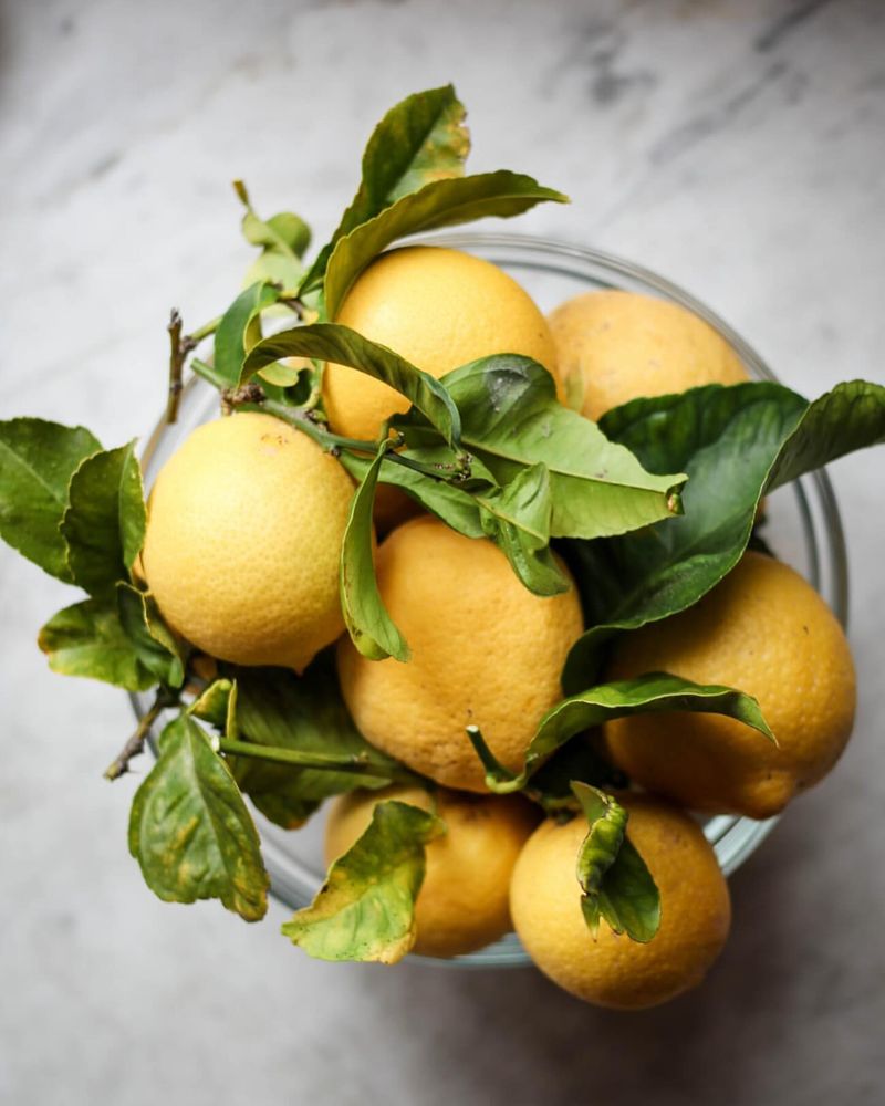 Reduces Kidney Stone Risk