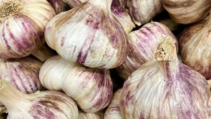 11 Amazing Health Benefits Of Eating Garlic