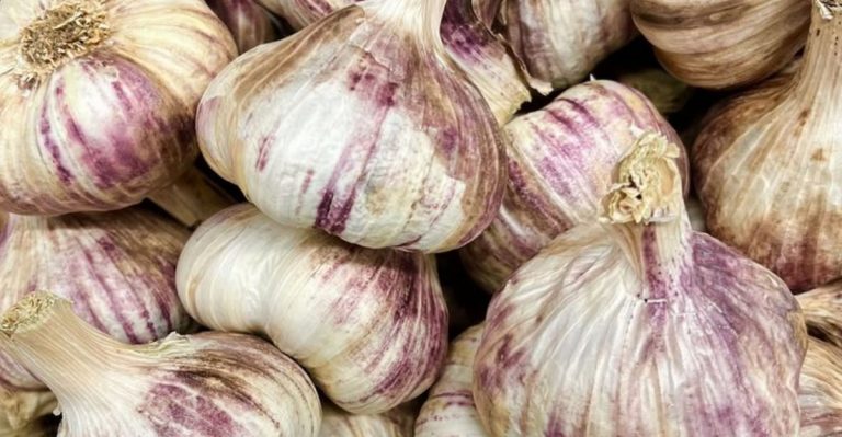 Health Benefits Of Eating Garlic