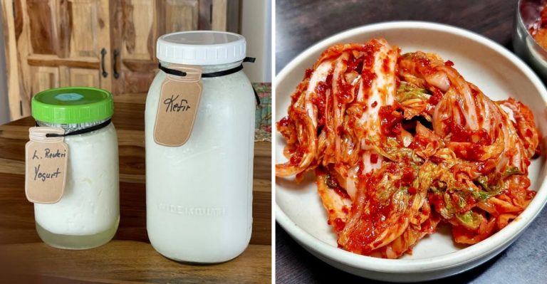 Fermented Foods That Do Wonders For Your Digestion