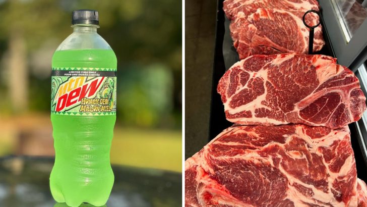 20 American Foods That Other Countries Refuse To Allow