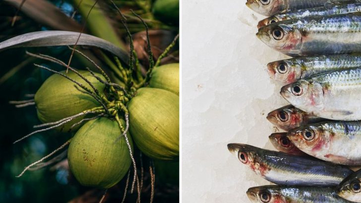 20 Healthy Fat Sources That Improve Cholesterol Naturally