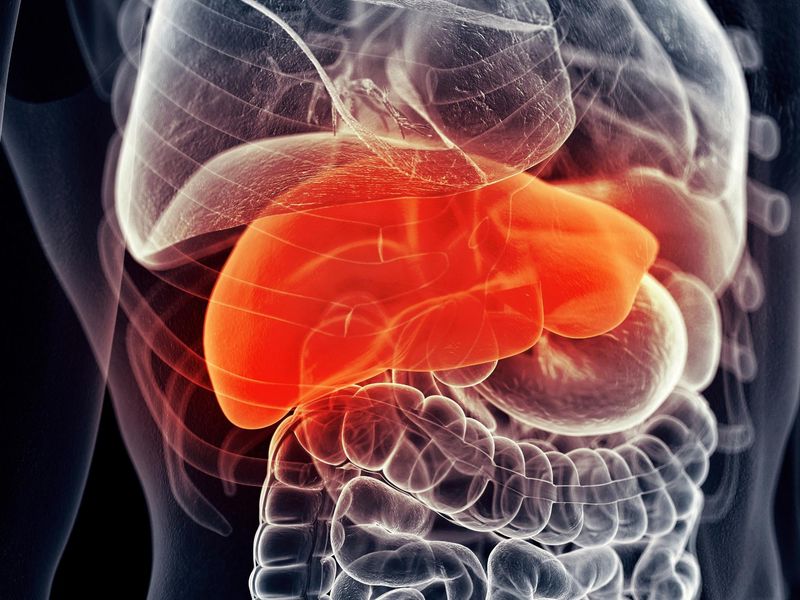 Improved Liver Function