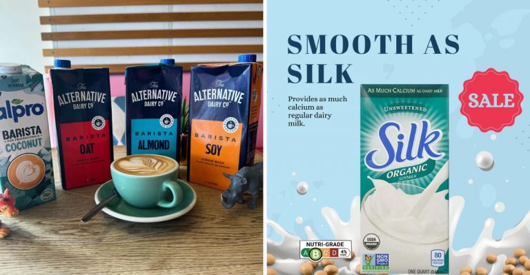 Plant Based Dairy Alternatives