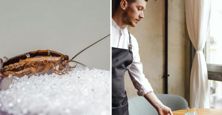 restaurant red flags