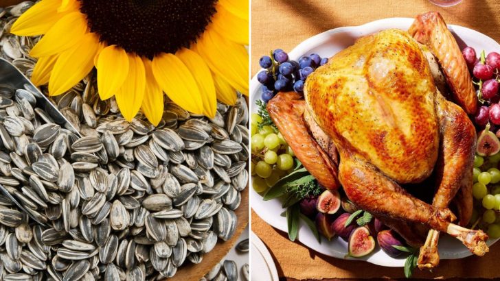 35 Foods With More Protein Than An Egg – You Won’t Believe 7, 17, And 27