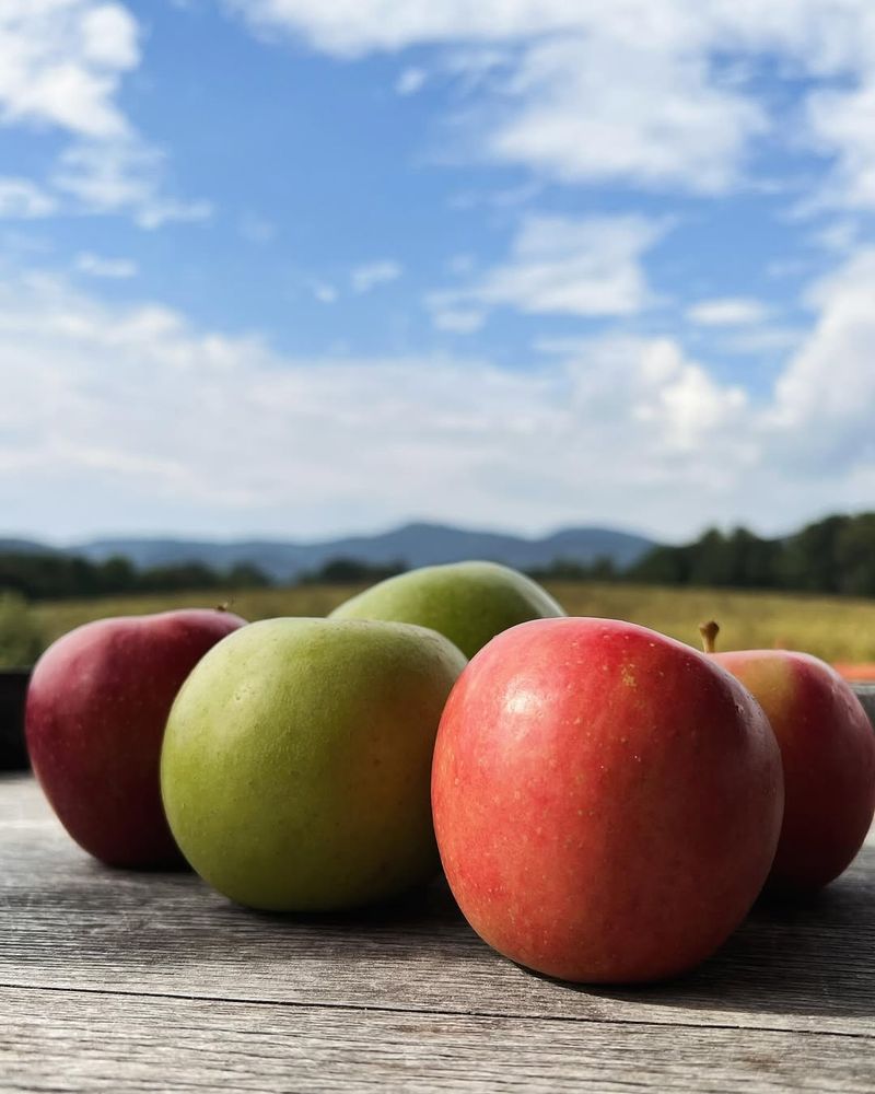 Apples