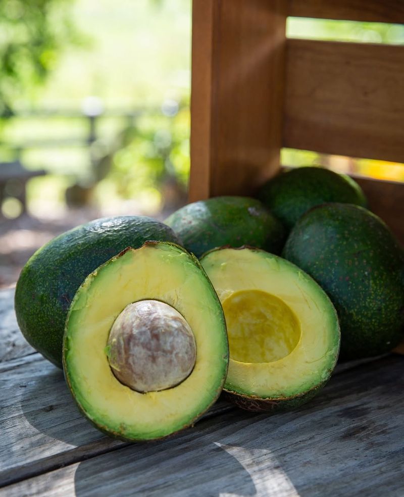 Avocados