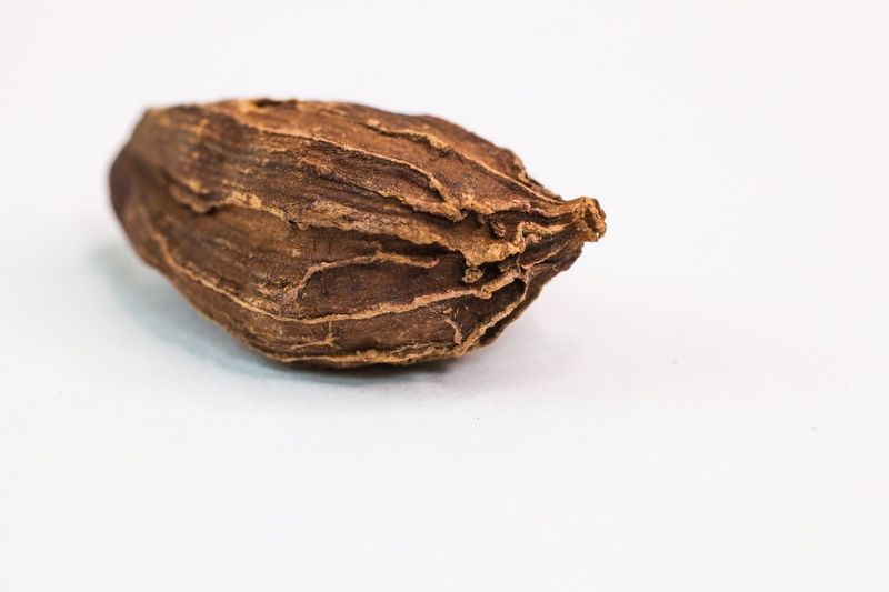 Black Cardamom