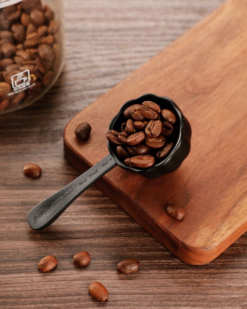 Black Plastic Coffee Scoop