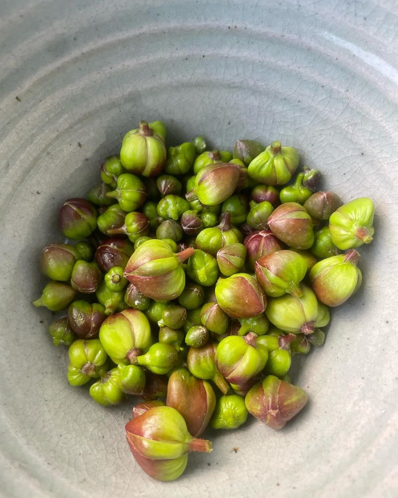 Caper Berries