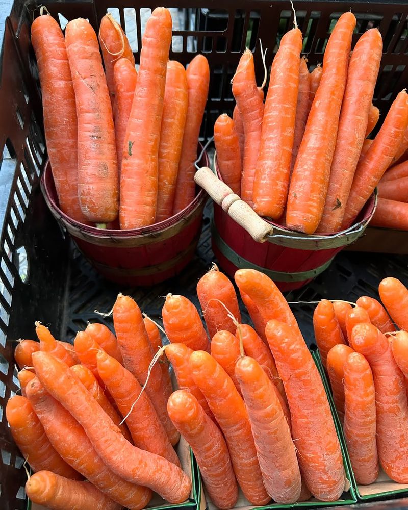 Carrots