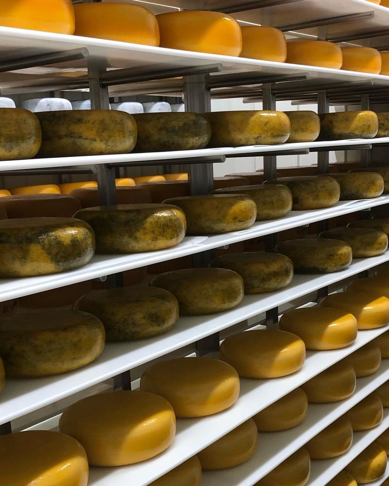 Cracking the Cheese Aging Code