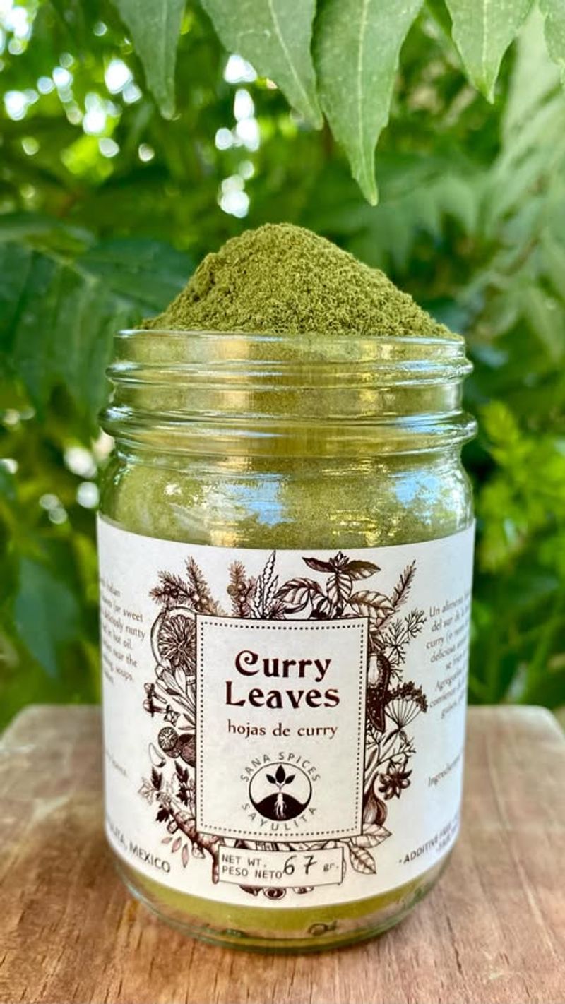 Curry Leaves
