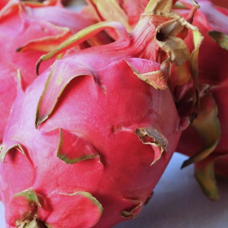 Dragon Fruit