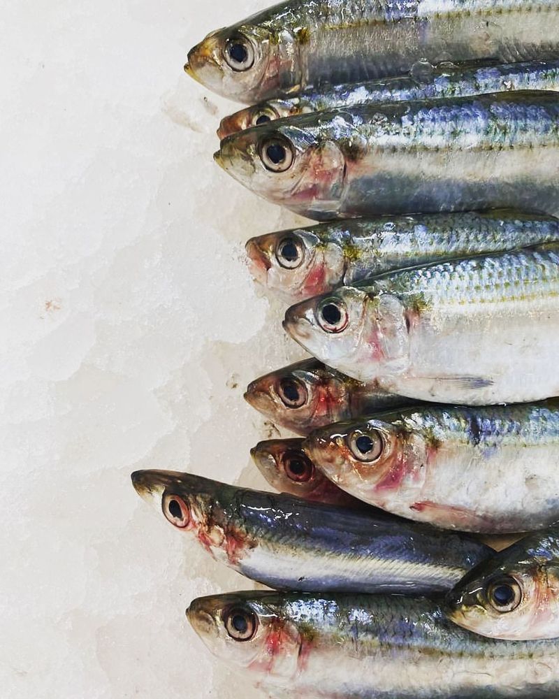 Fatty Fish (Salmon, Mackerel, Sardines)
