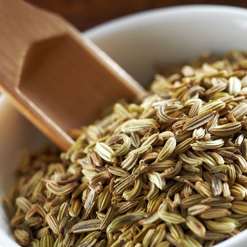 Fennel Seeds