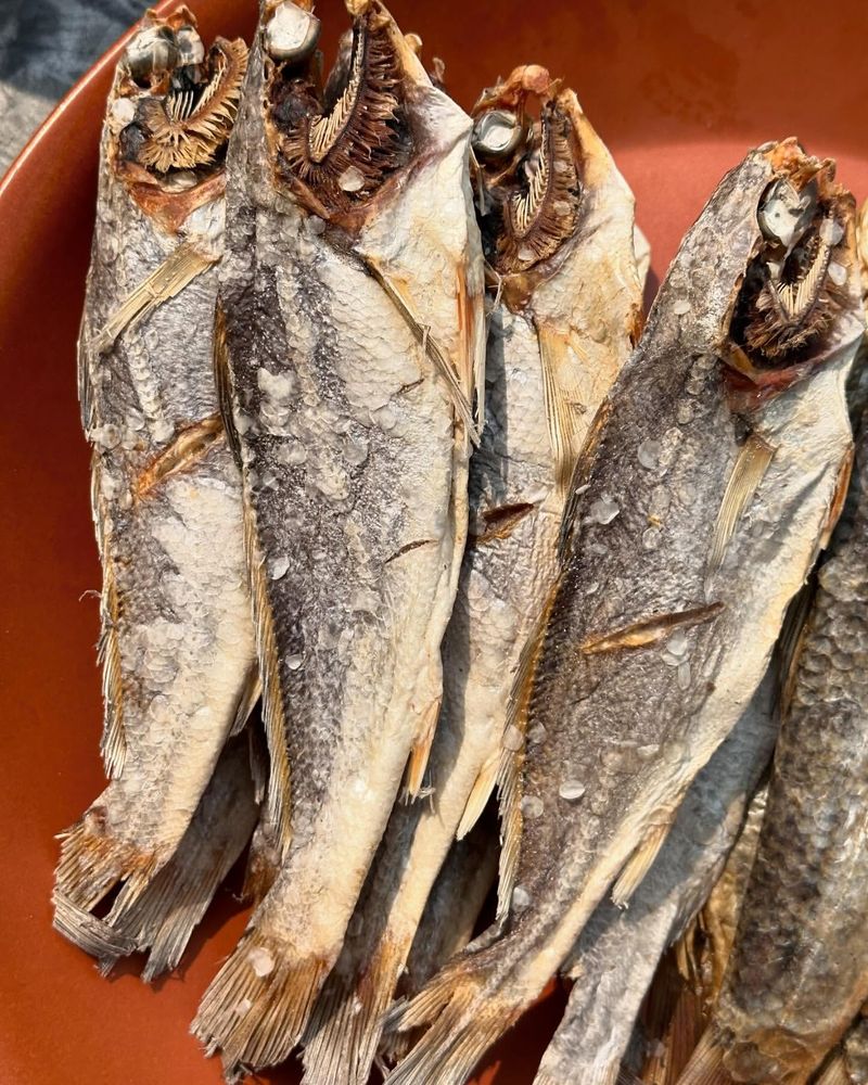 Fermented Fish