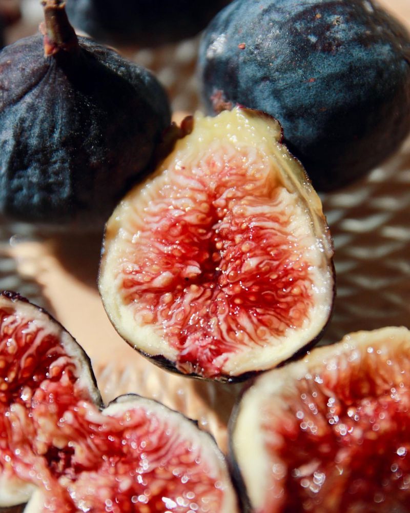 Figs