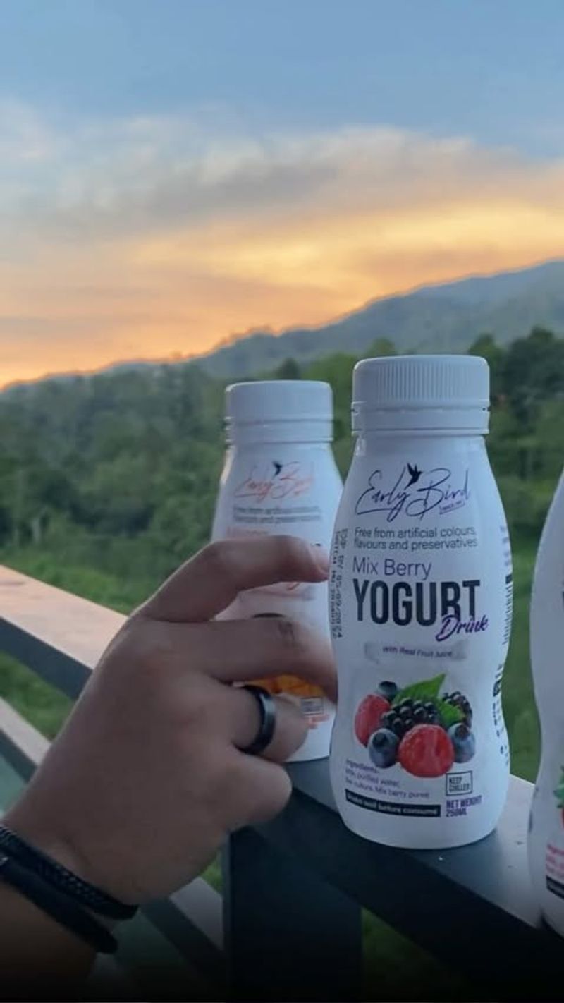 Flavored Yogurts