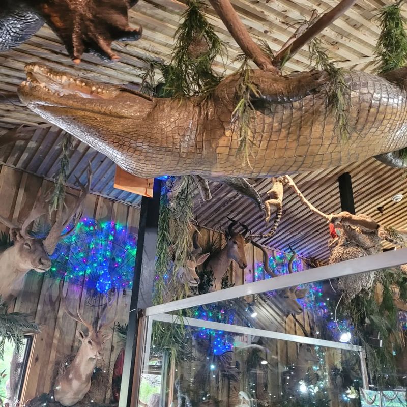 Florida: Clark's Fish Camp