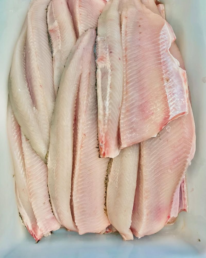Frozen Fish Fillets