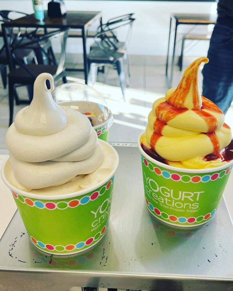 Frozen Yogurt Cup
