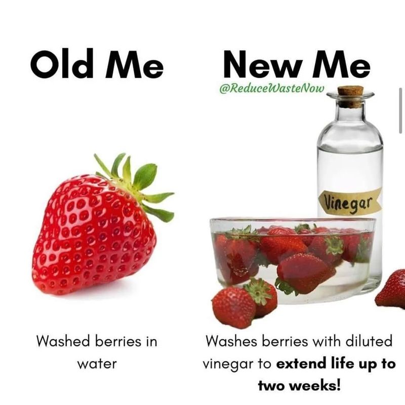 Fruit Vinegar from Overripe Fruits