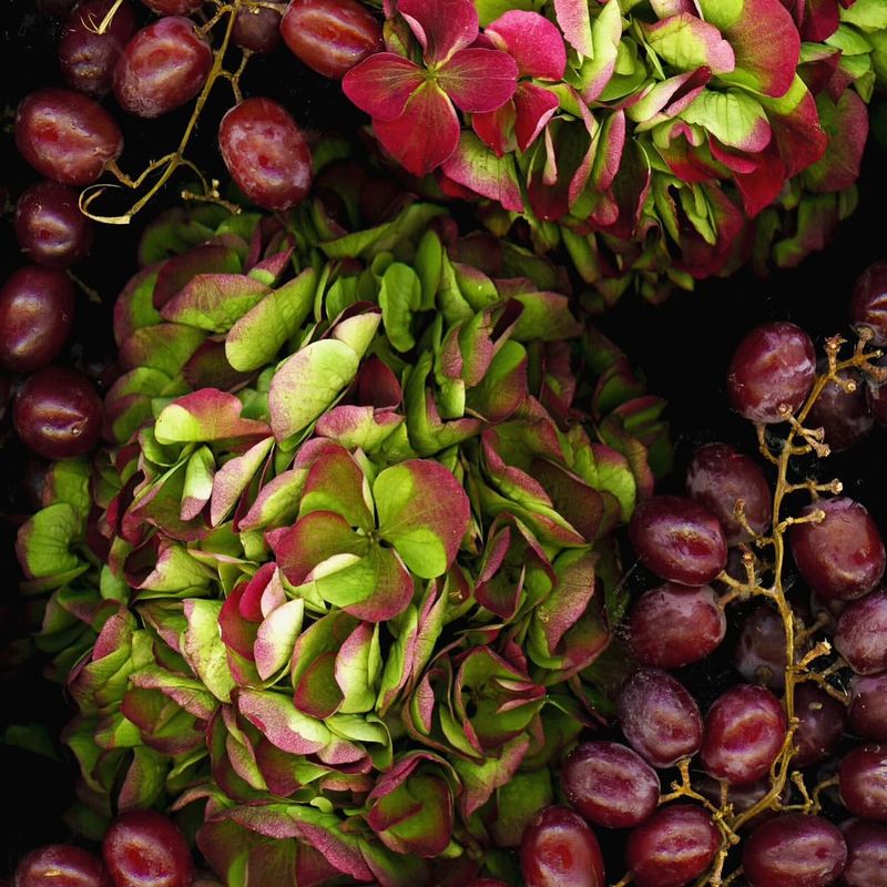 Grapes