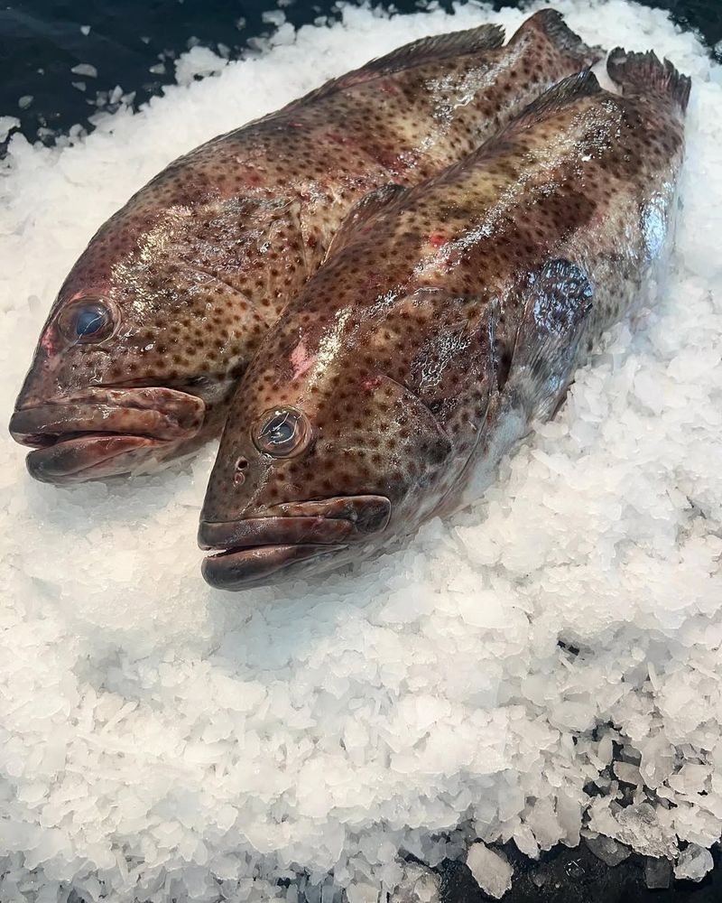 Grouper