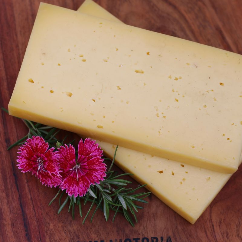 Havarti Cheese