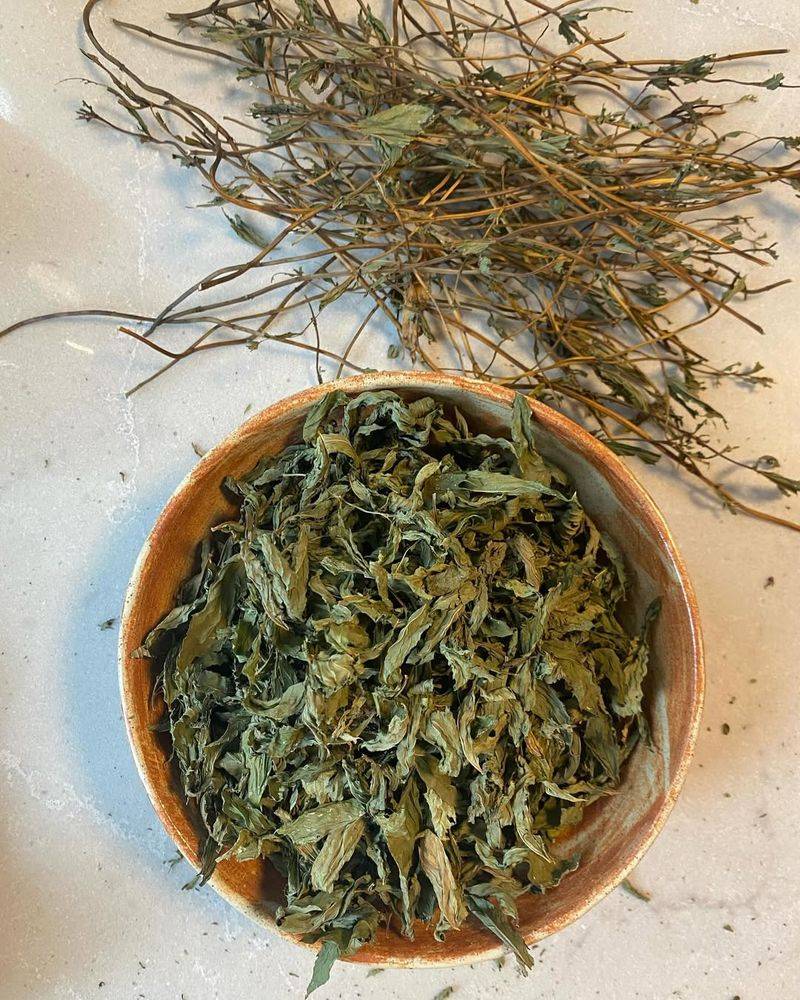 Herbal Tea from Herb Stems