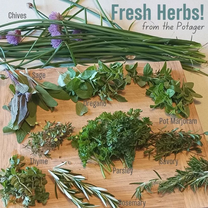 Herbs