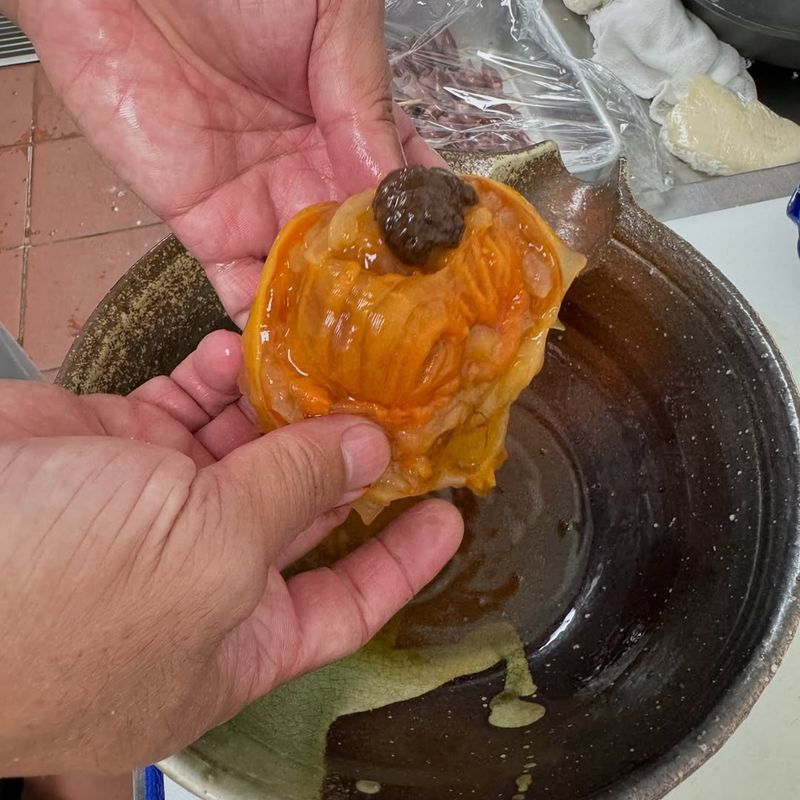 Hoya (Sea Pineapple)