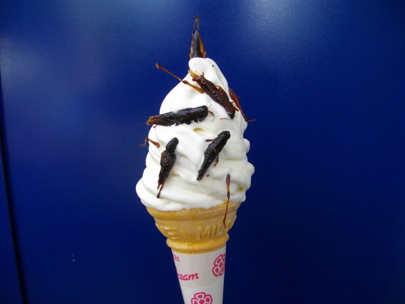 Inago (Insect Dish)
