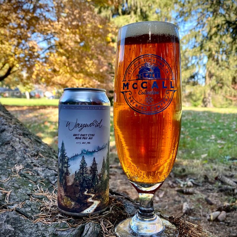 India Pale Ale (IPA)
