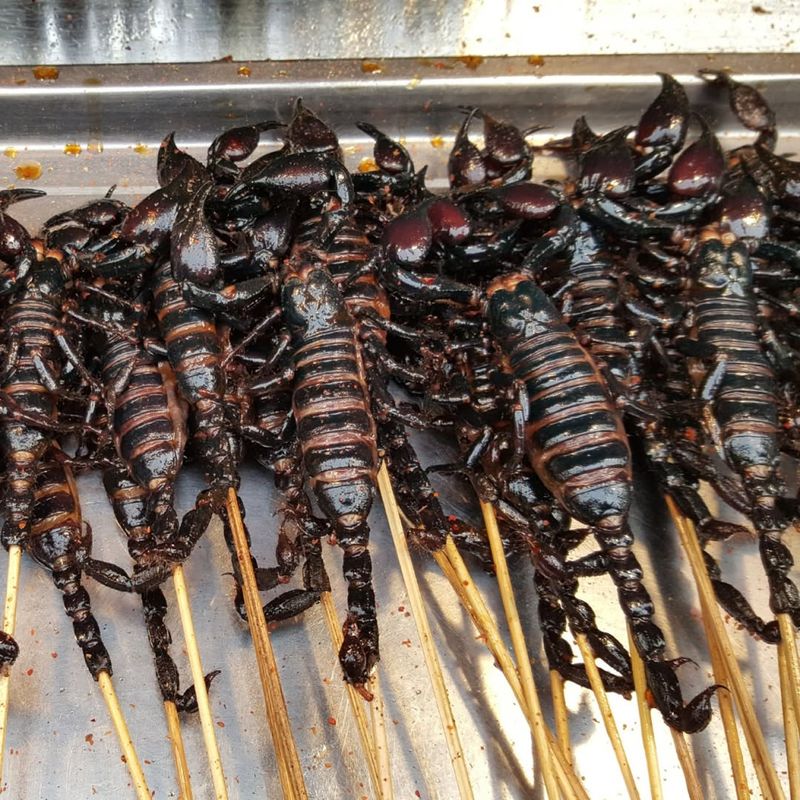 Insects