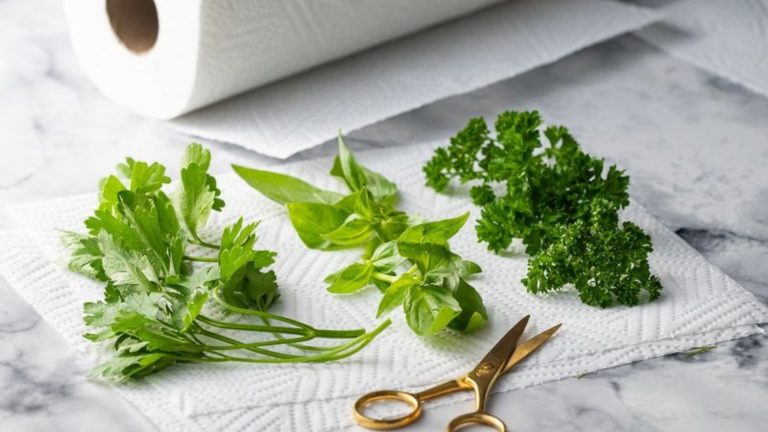 fresh herbs
