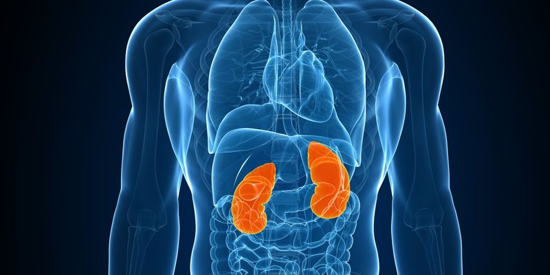 Healthier Kidneys