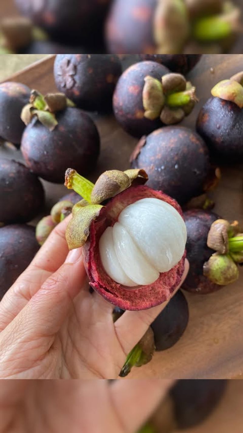Mangosteen