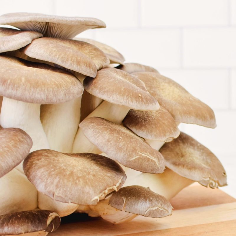 Mushrooms